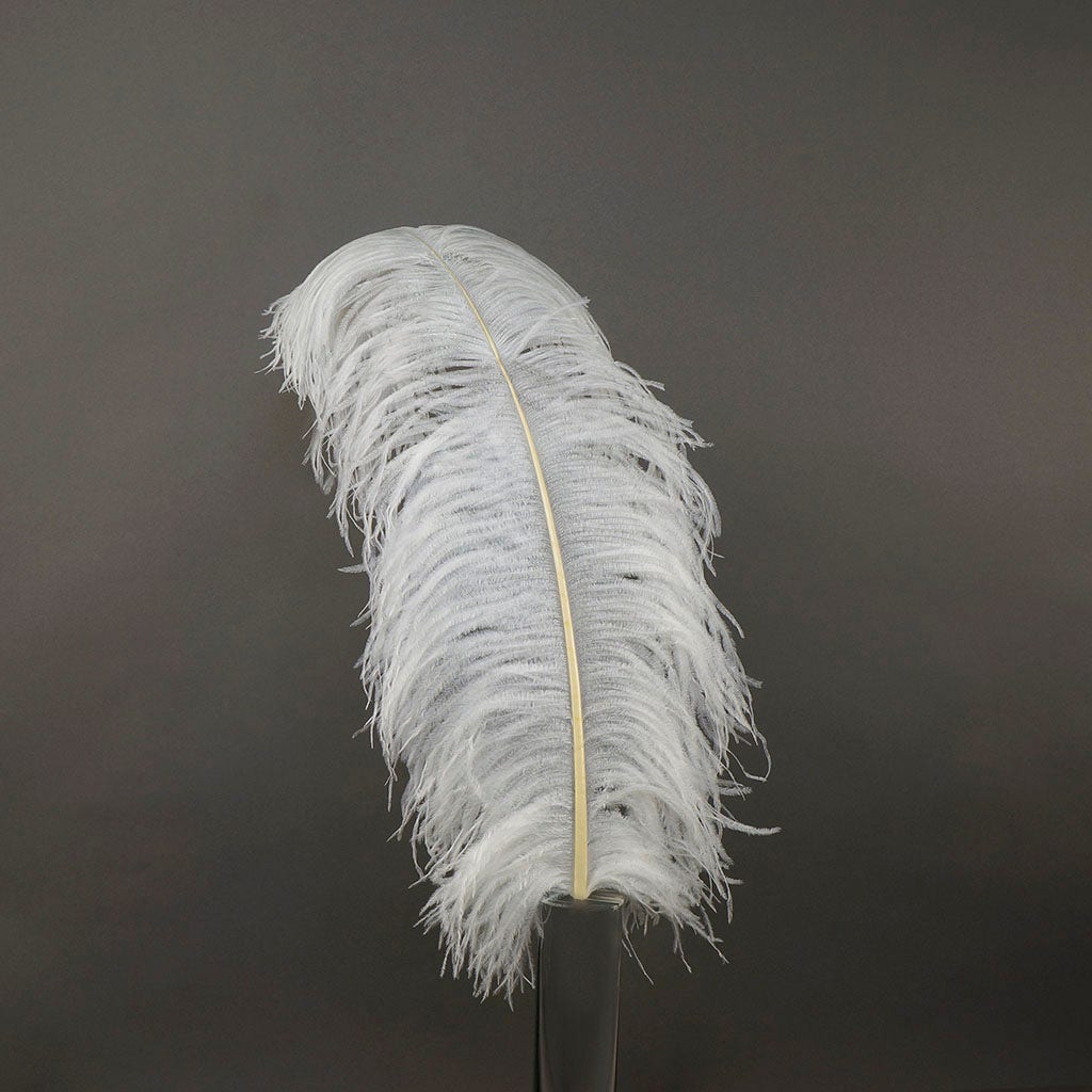 Large Ostrich Feathers - 24-30" Prime Femina Plumes - White