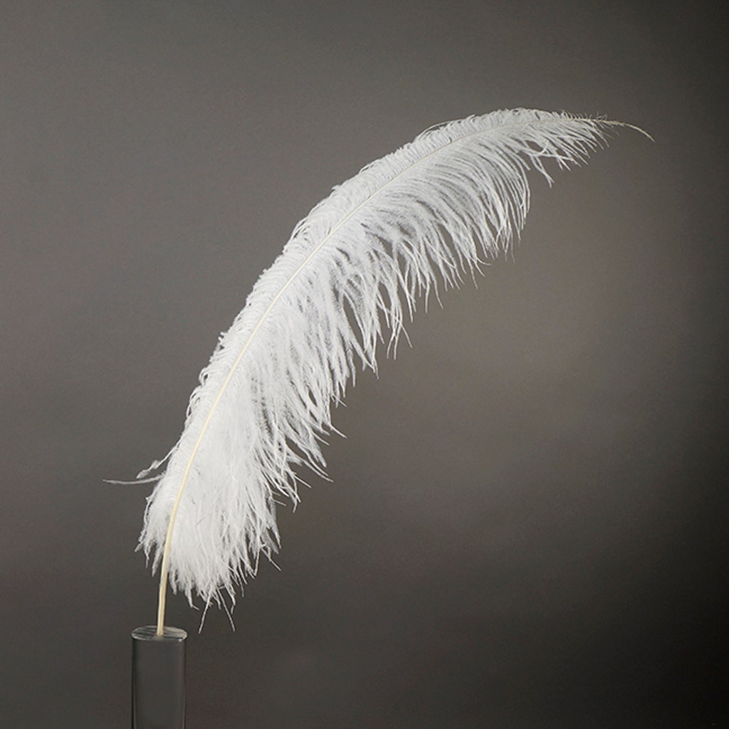 Large White Ostrich Feathers, Folding Fan Large Feather