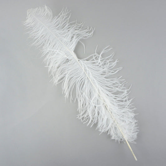 Ostrich Feathers-Spads Damaged - White