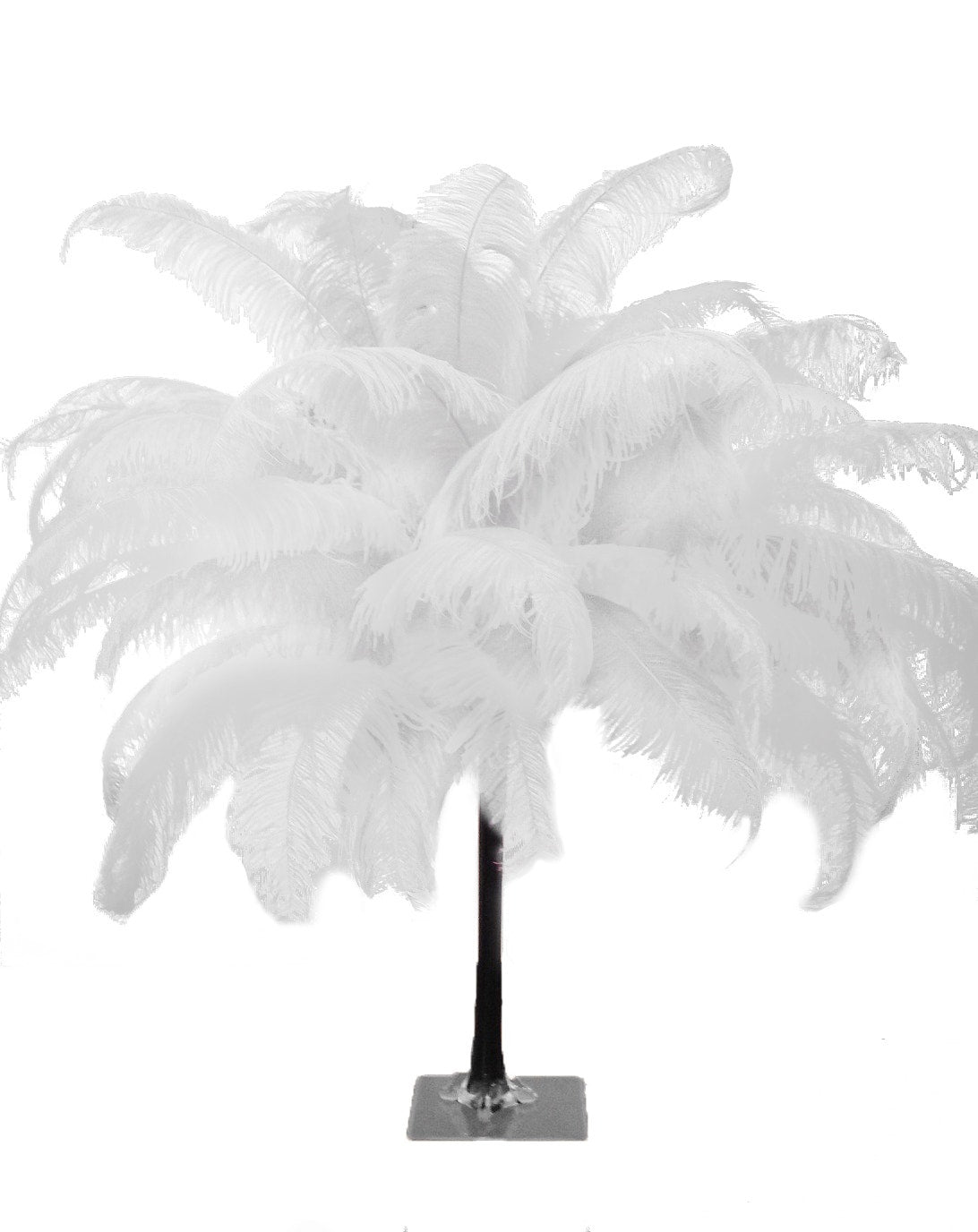 Large Ostrich Feathers - 18-24" Spads - White