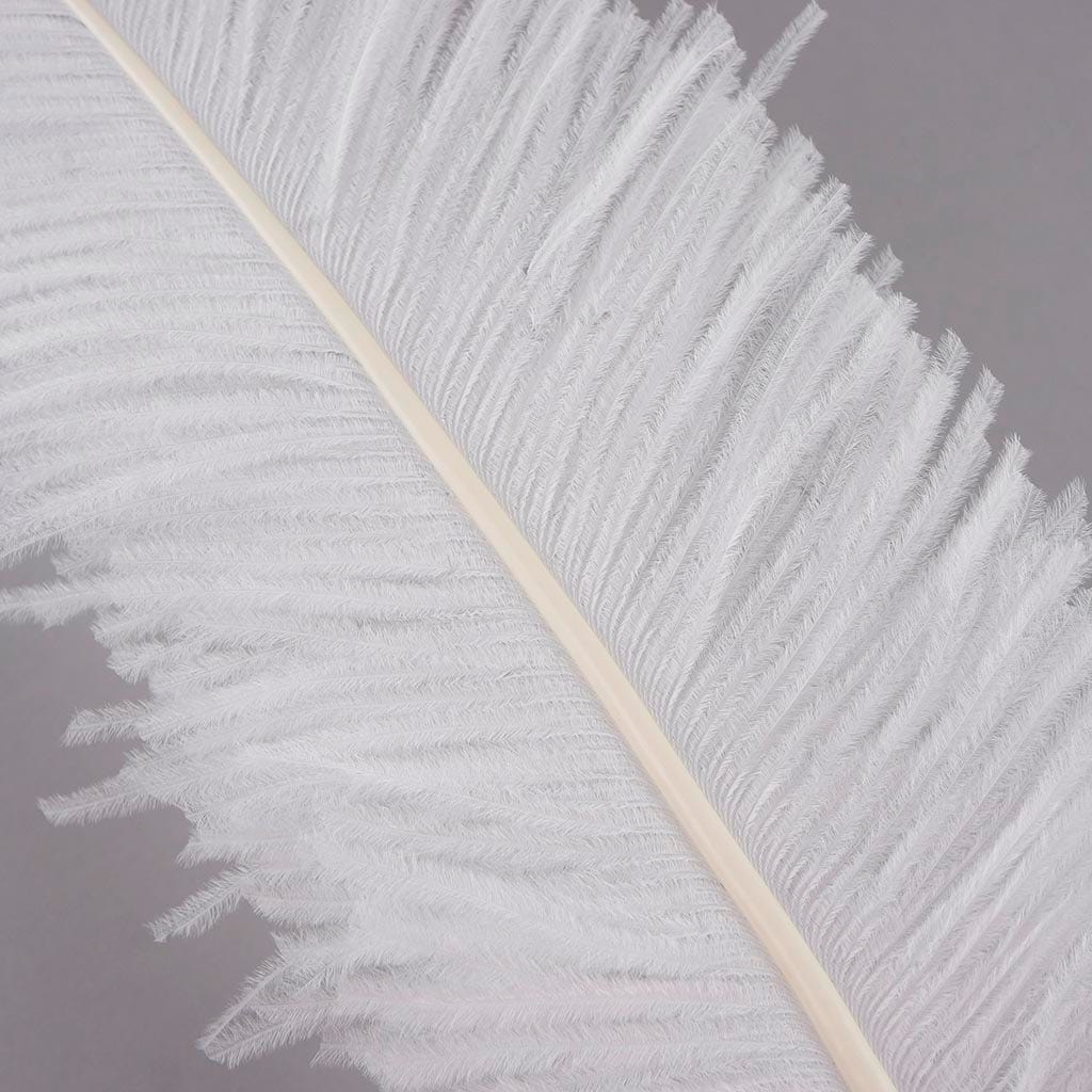 Ostrich Spad Feathers Trimmed w/Natural Markings White