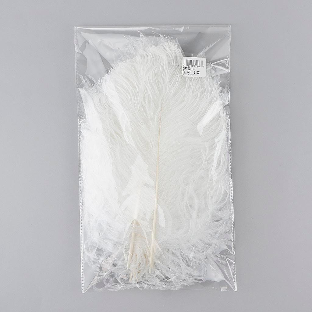 Ostrich Tail Feathers - Cut Tops  5-11 inch - 12 pcs  - White