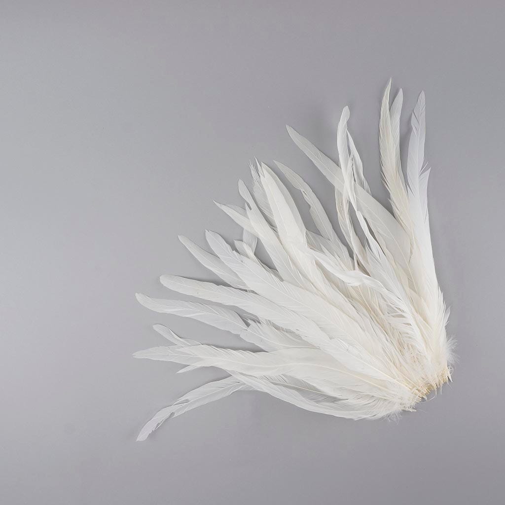 Rooster Coque Tails White - 12 - 14"