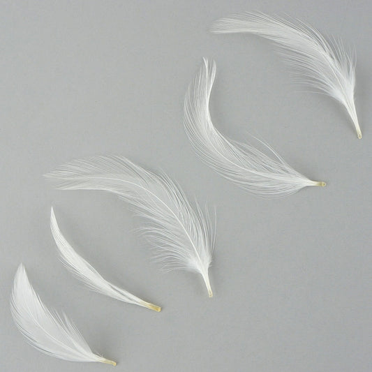 Loose Rooster Hackle Feather Dyed 1-3"  - White