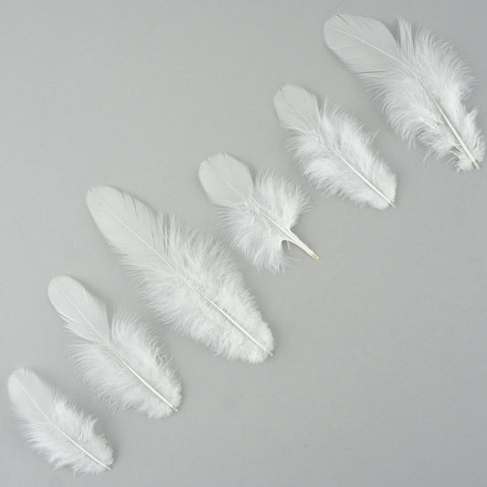 Rooster Plumage-White-Dyed - White
