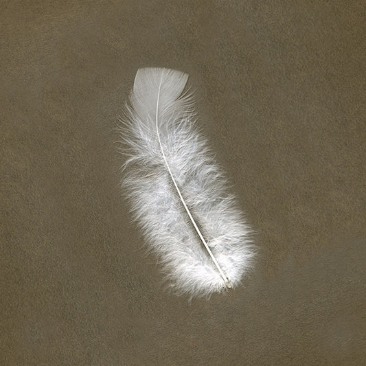 Turkey Feather Flats Dyed - White