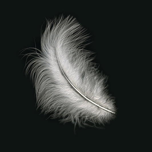 Loose Turkey Marabou Feathers 3-8" Dyed - White