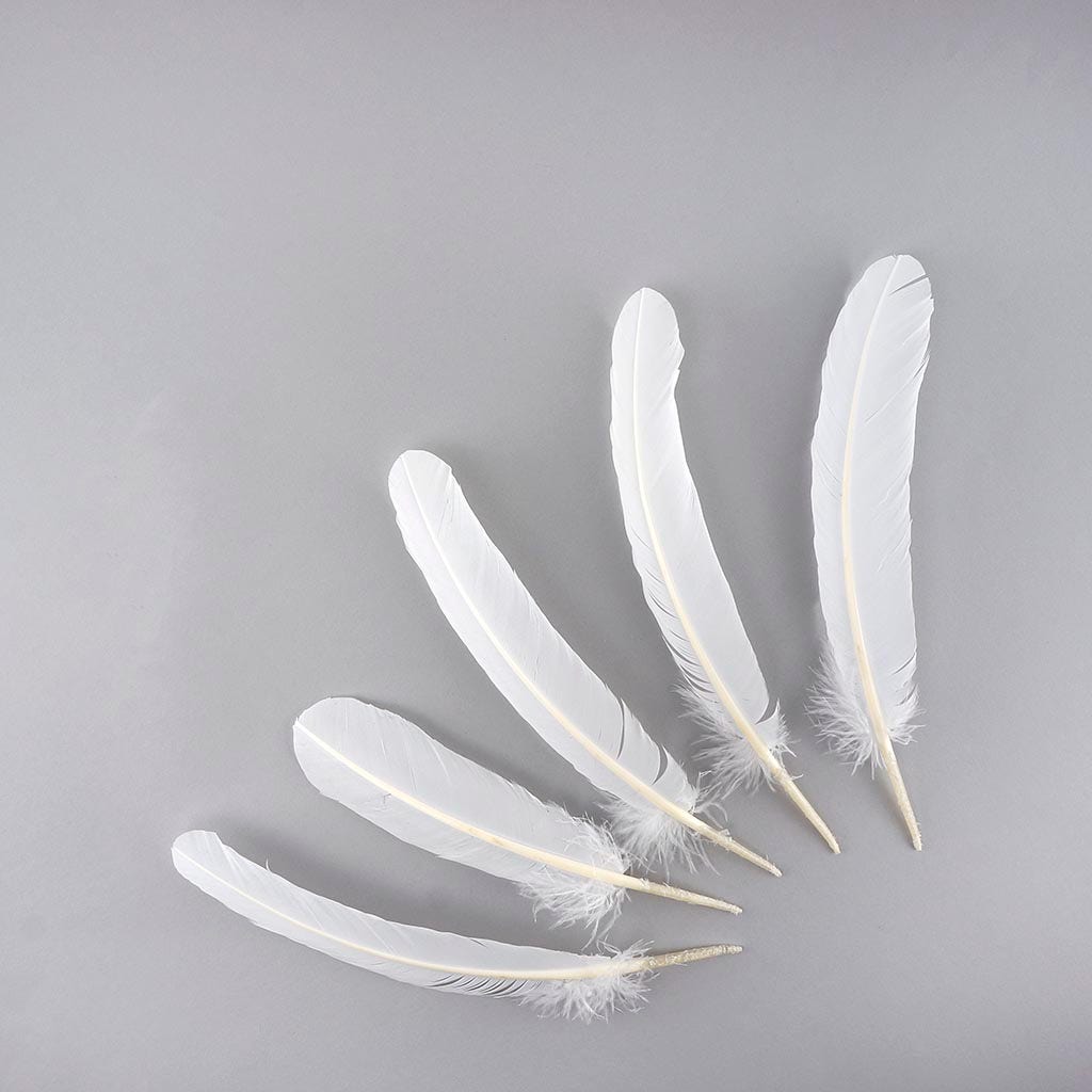 Decorate these white feathers with markers, paints, glitter and gems. These  make great craft trims and you can cr…