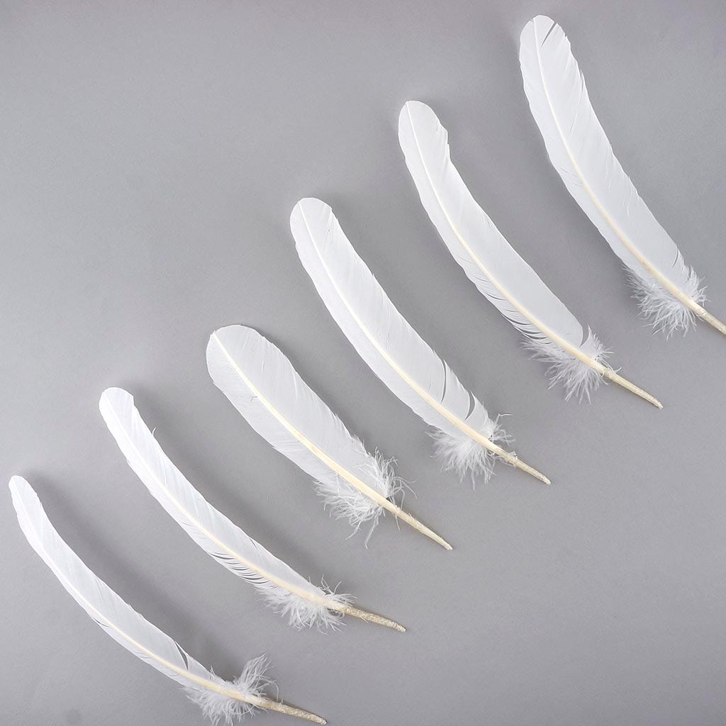 6 Pieces navy Blue Turkey Pointers Primary Wing Quills