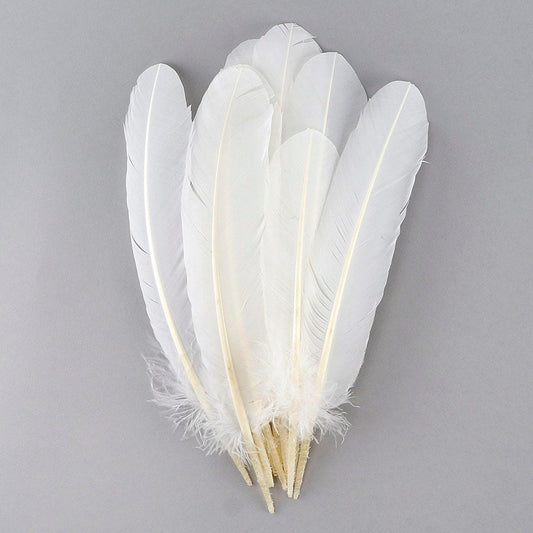 Turkey Quills by Pound - Right Wing - White