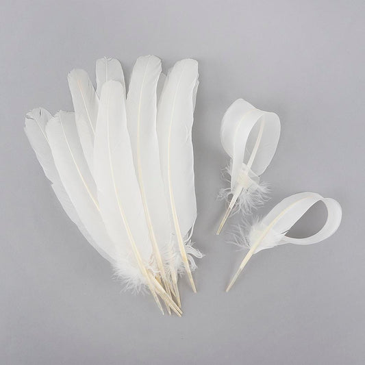 Parried Turkey Quills Selected - White