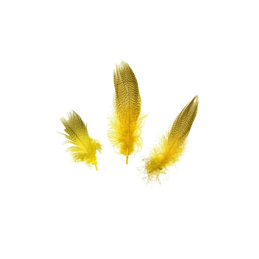 Duck Plumage Mallard Feathers - Lemon Yellow