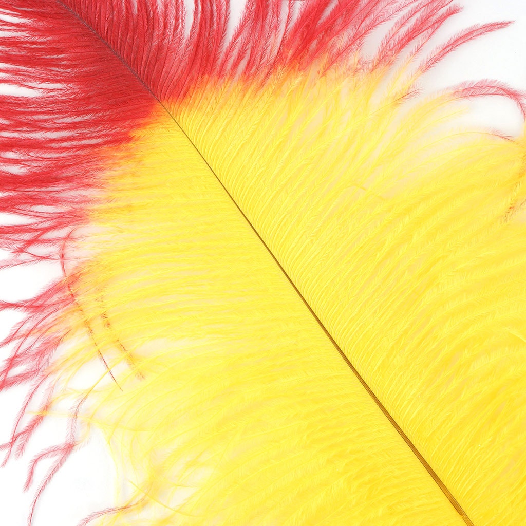 Ostrich Feathers Drabs Tipped Selected - Yellow/Red