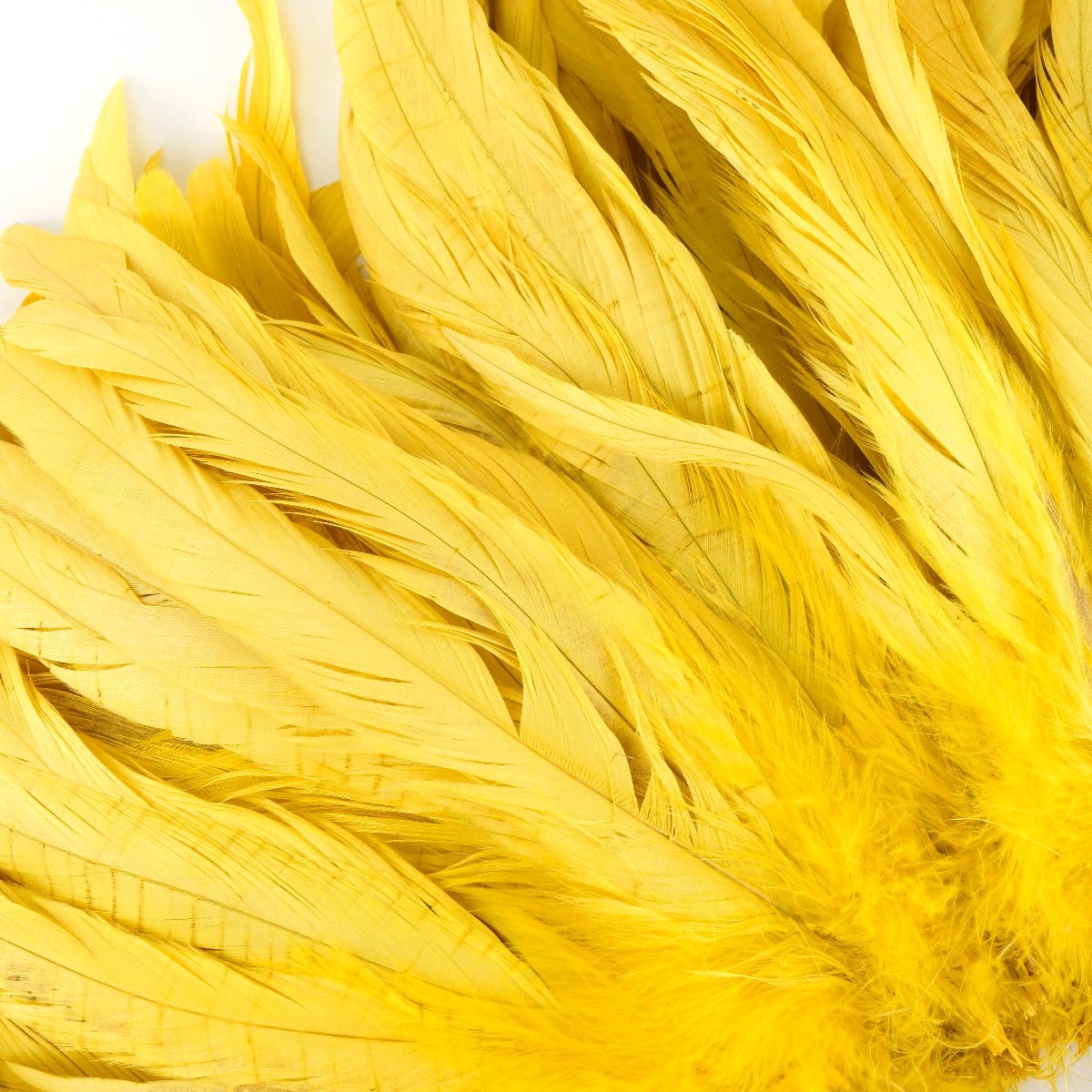 ROOSTER COQUE TAILS FEATHERS BLEACH DYED 7-10” - 1/2 Yard ( 18") - Bright Yellow