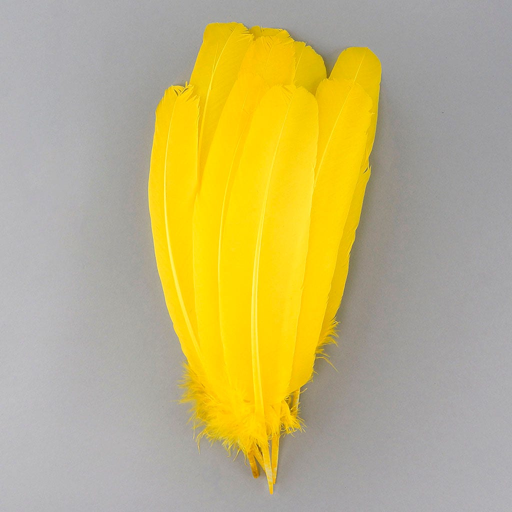 Turkey Quills by Pound - Right Wing - Yellow